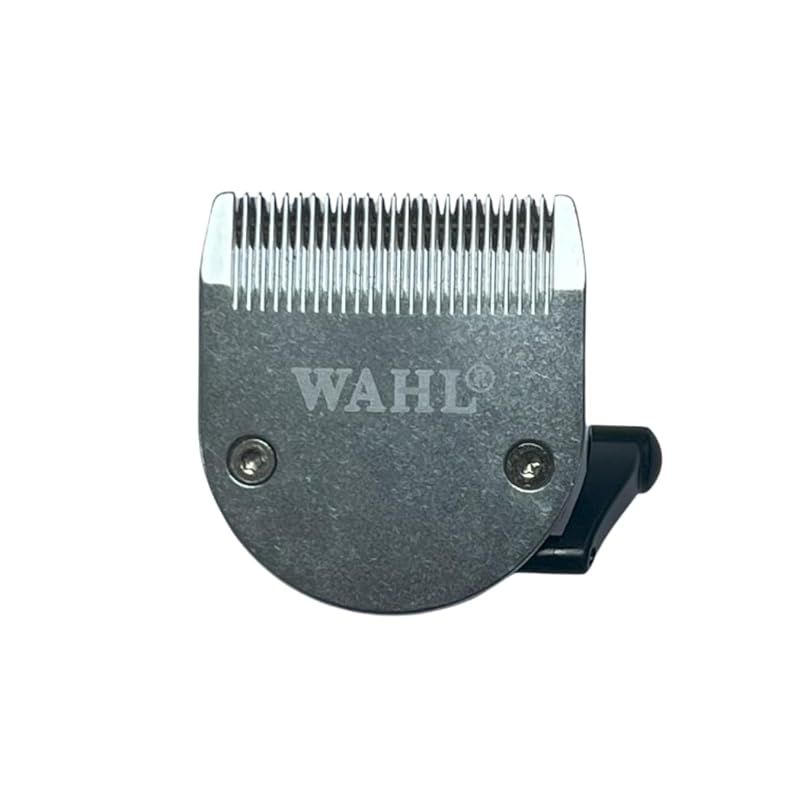 Historyレスポール タイプ (フジゲン製)