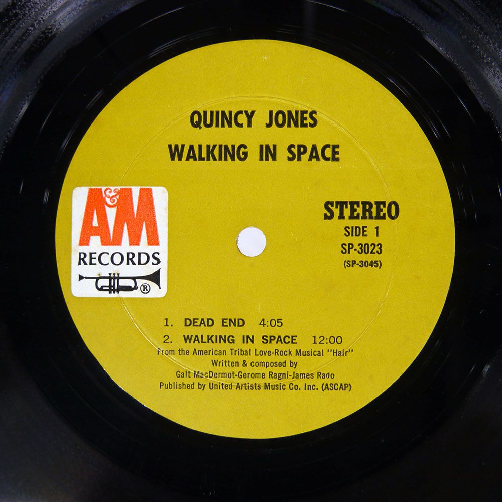 レコード盤 高田瞳 / 夢とびら / SA・YO・NA・RA | PASSTIME RECORDS / パスタイム