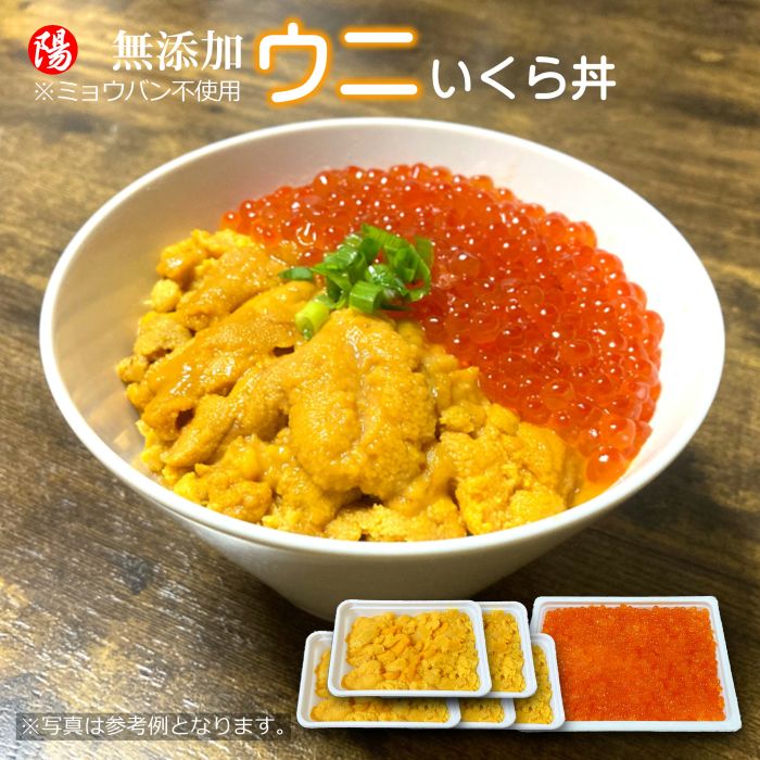 無添加ウニ 鮭いくら醤油漬け セット【ウニ500g/いくら500g】ミョウバン不使用 チャム 白鮭卵 刺身 寿司 海鮮 魚介 海の幸 お祝い ギフト 贈答品 お歳暮 BBQ