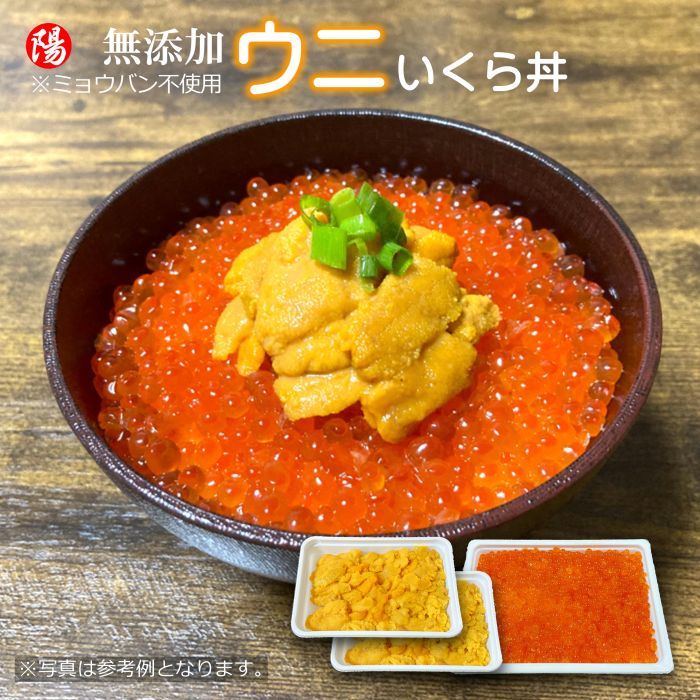 無添加ウニ 鮭いくら醤油漬け セット【ウニ200g/いくら500g】ミョウバン不使用 チャム 白鮭卵 刺身 寿司 海鮮 魚介 海の幸 お祝い ギフト 贈答品 お歳暮 BBQ
