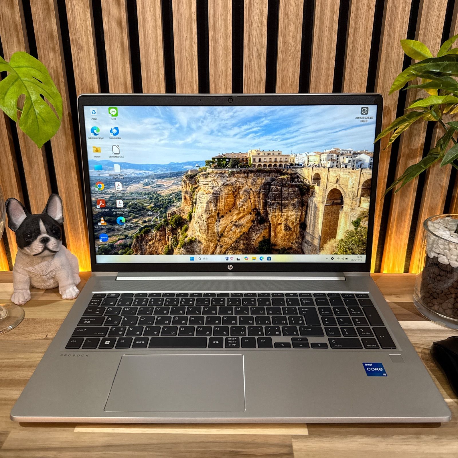 極美品‼️HP ProBook 450☘第13世代☘メモリ16GB☘ノートパソコン 極美品‼️HP ProBook 450☘メモリ16GB☘️第13世代☘ノートパソコン