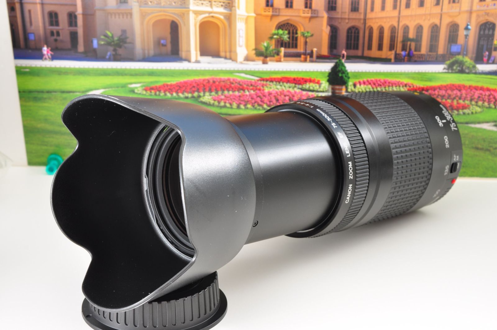 キヤノン EF 75-300mm 軽量望遠ズームレンズ 運動会 旅行 ポートレート