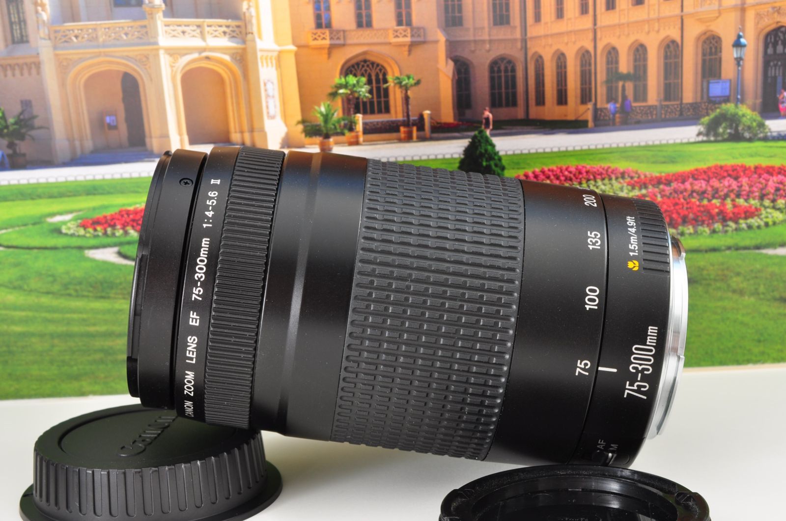 キヤノン EF 75-300mm 軽量望遠ズームレンズ 運動会 旅行 ポートレート