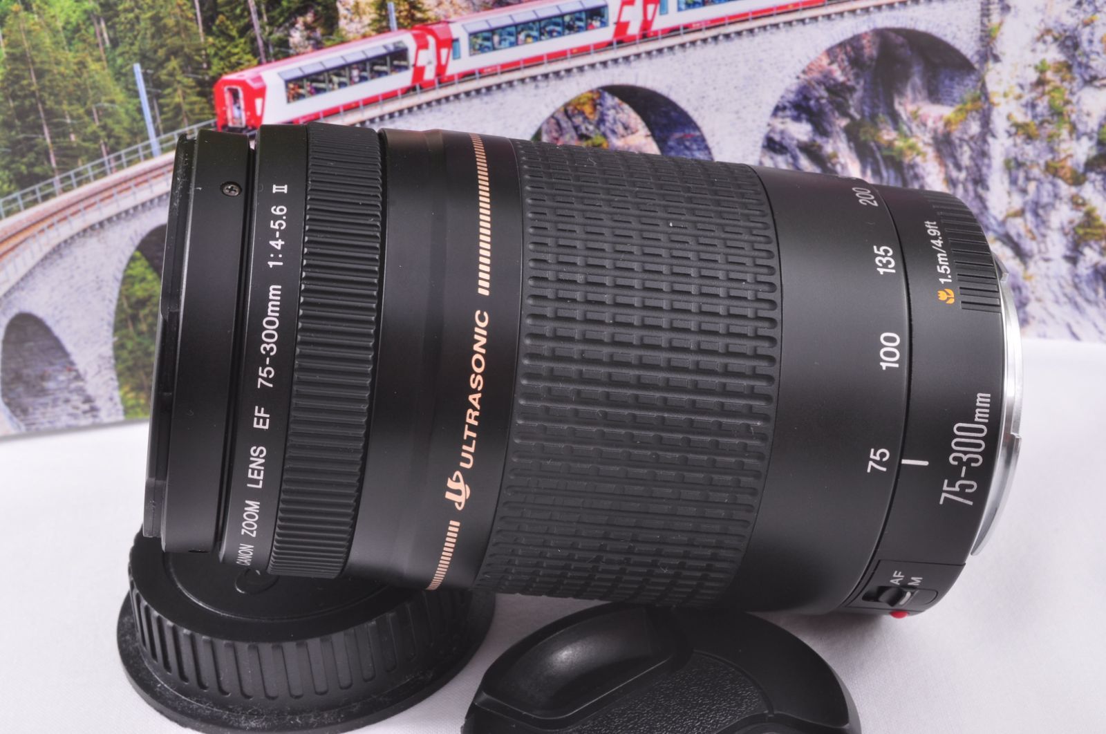 Canon EF 75-300mm USM 望遠ズームレンズ フード付 キャップ付 女性 