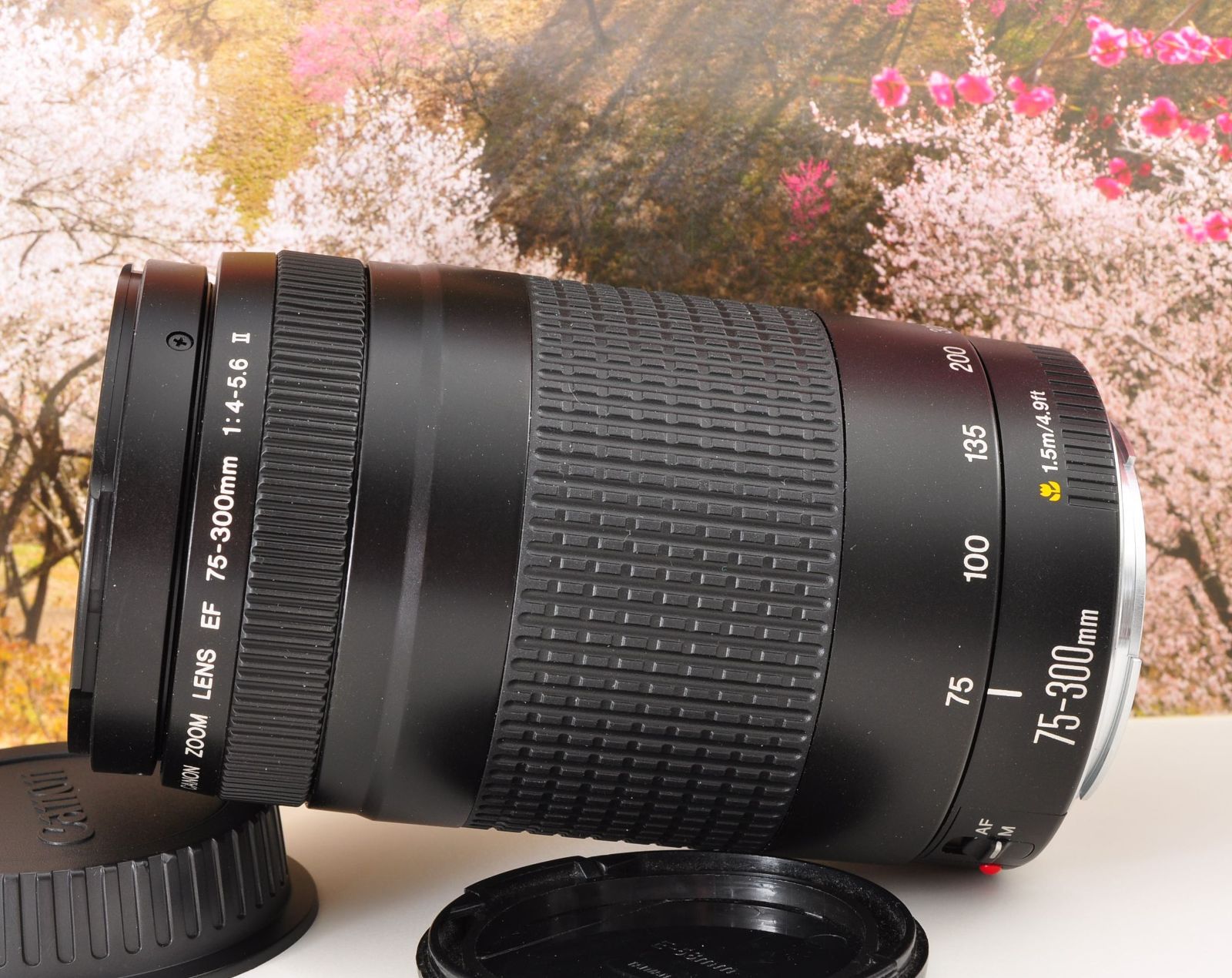 キヤノン EF 75-300mm 軽量望遠ズームレンズ 運動会 旅行 ポートレート