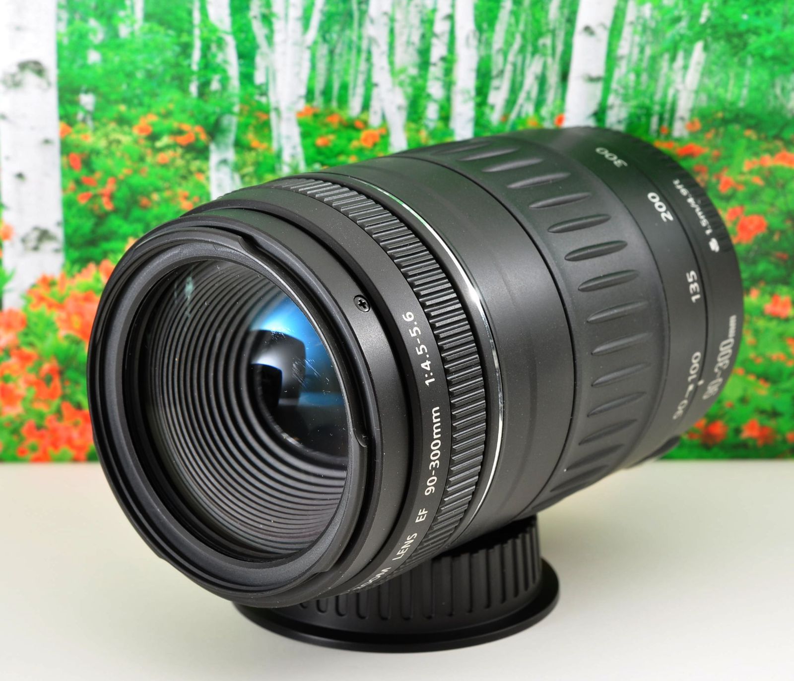 Canon EF 90-300mm F4.5-5.6 望遠ズームレンズ 動作良好 光学クリア