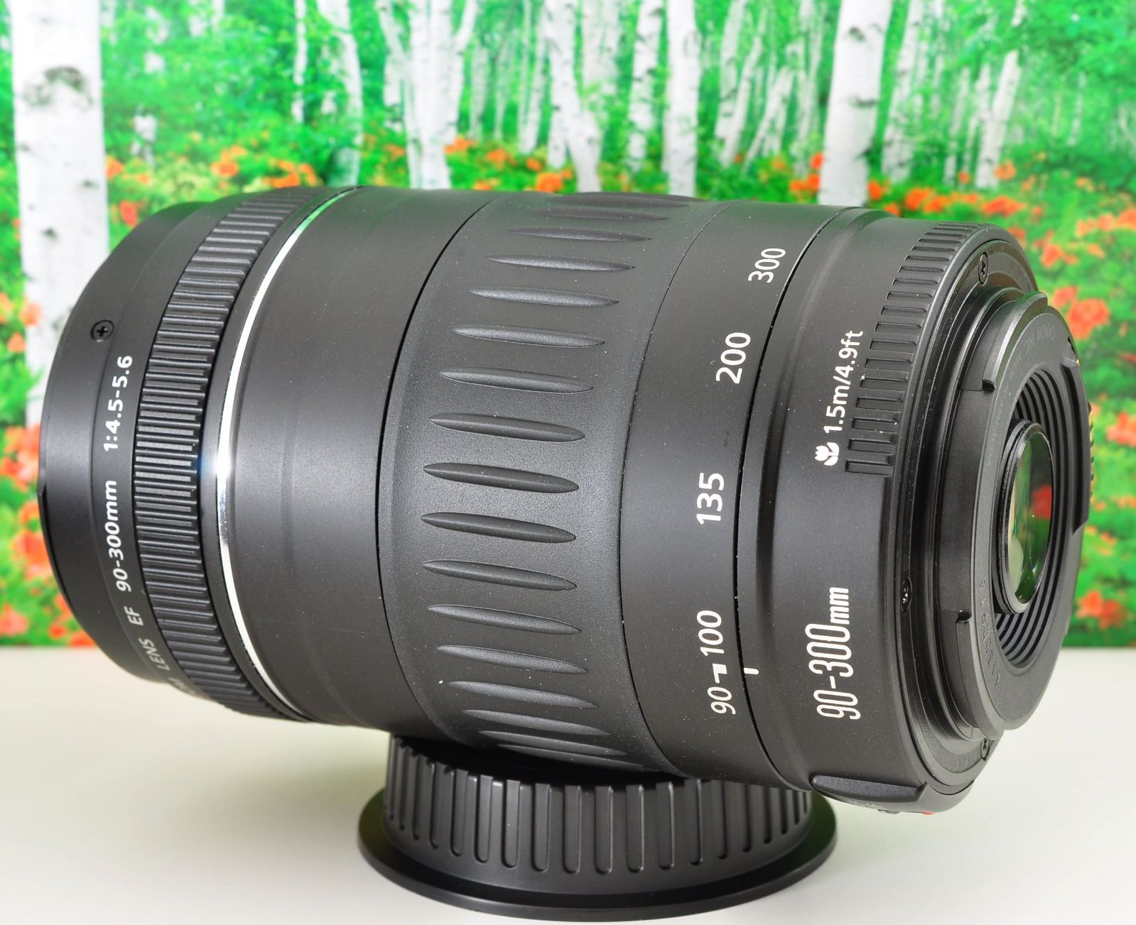 Canon EF 90-300mm F4.5-5.6 望遠ズームレンズ 動作良好 光学クリア