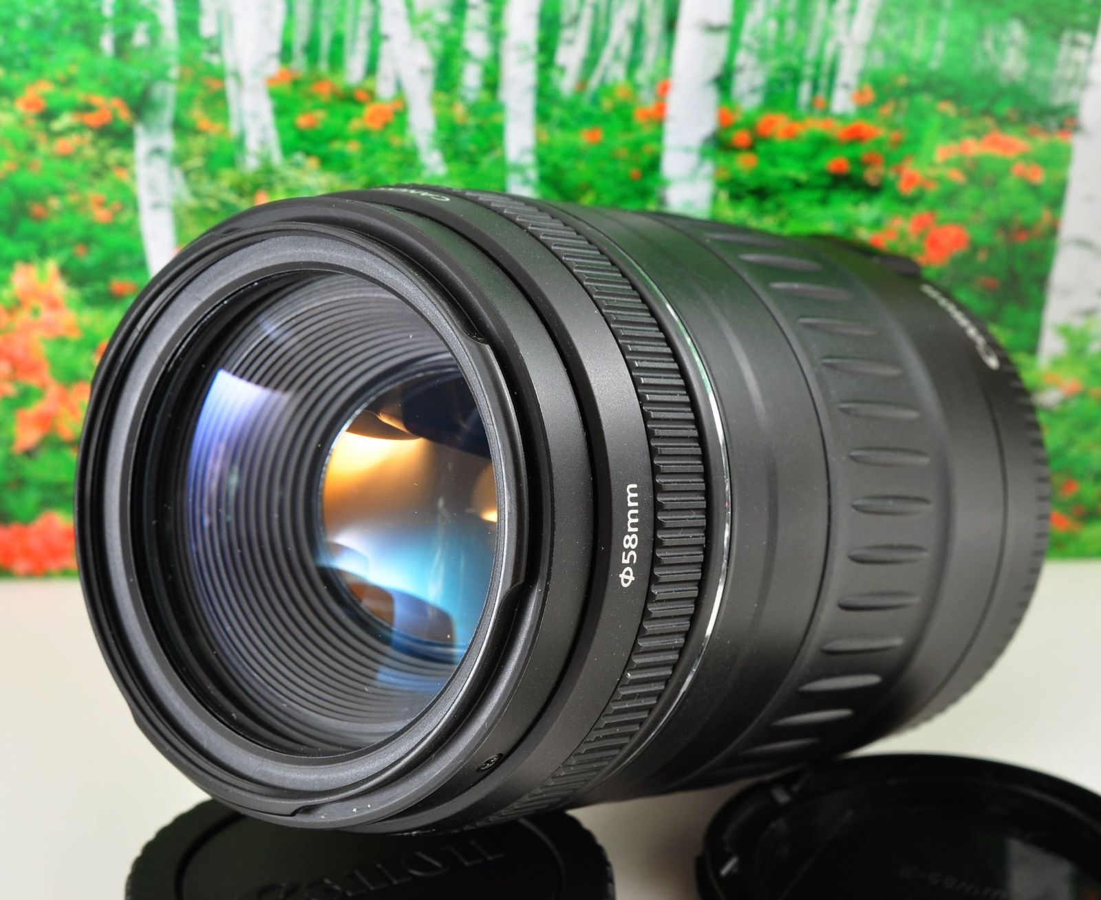 Canon EF 90-300mm F4.5-5.6 望遠ズームレンズ 動作良好 光学クリア