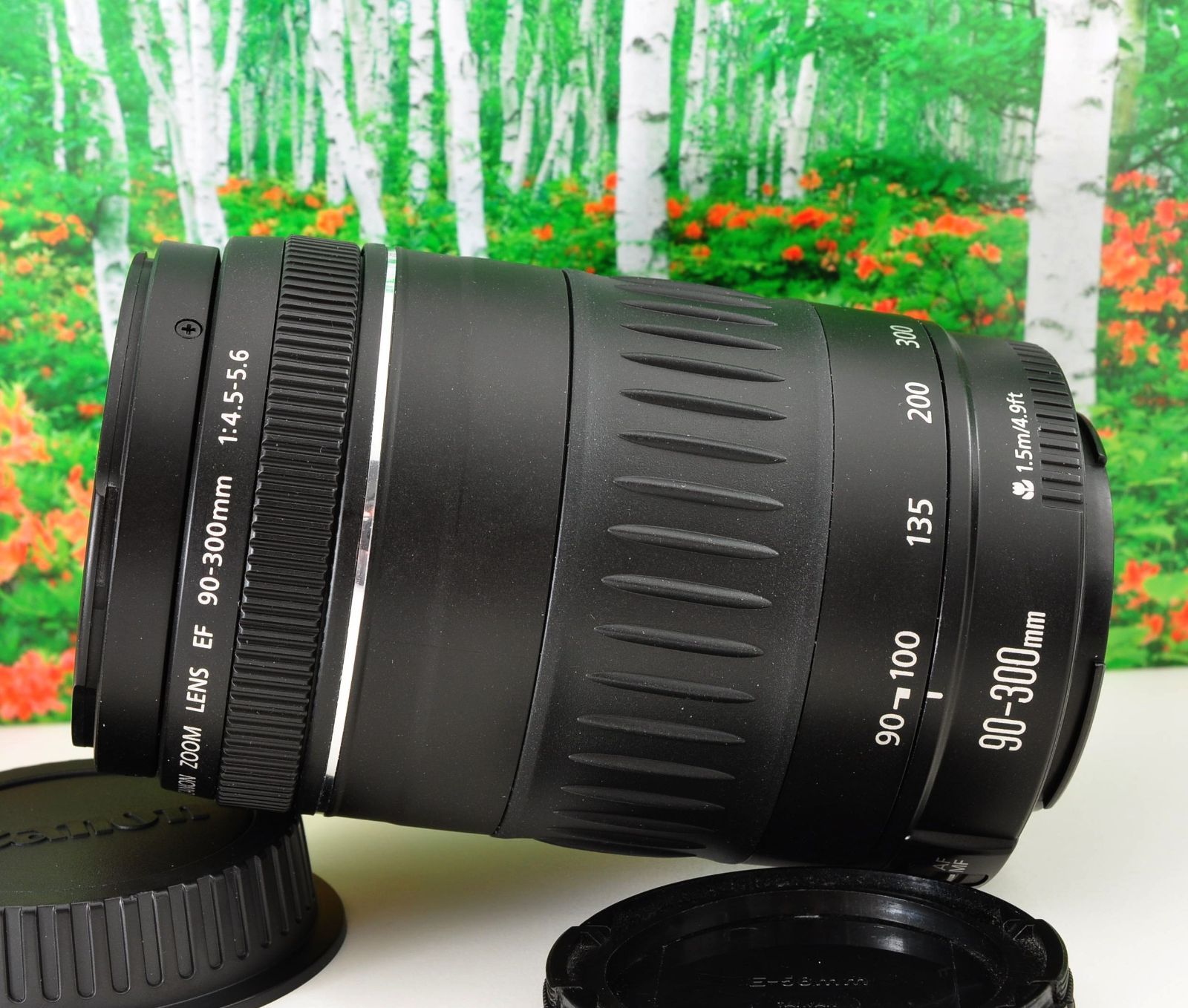 Canon EF 90-300mm F4.5-5.6 望遠ズームレンズ 動作良好 光学クリア