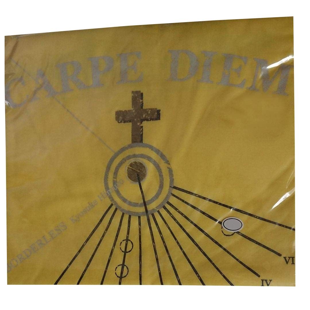 氷室京介 TOUR 2010－2011 BORDERLESS 50×50 ROCK'N'ROLL SUICIDE