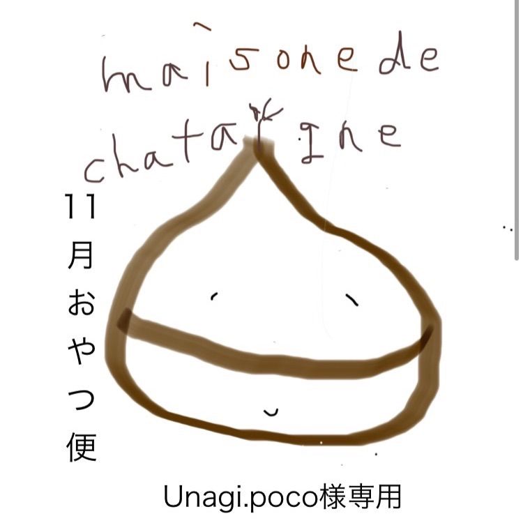 Unagi.poco様専用 おやつ便 シフォンケーキサンド チーズケーキ テリーヌ