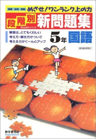 段階別新問題集 小学国語5年