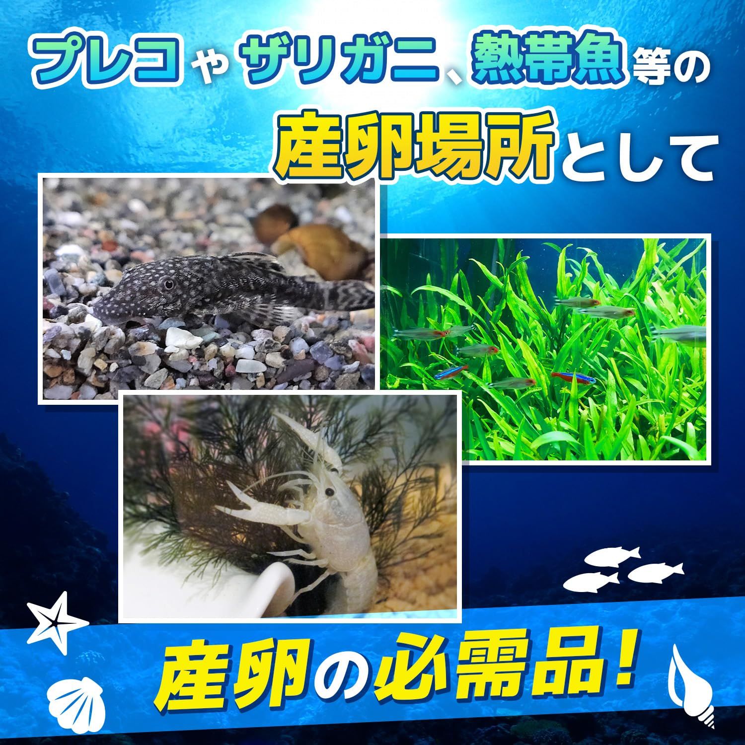 魚用品・水草 ファビュラス堂 産卵筒 陶器 熱帯魚 プレコ エビ 白砂