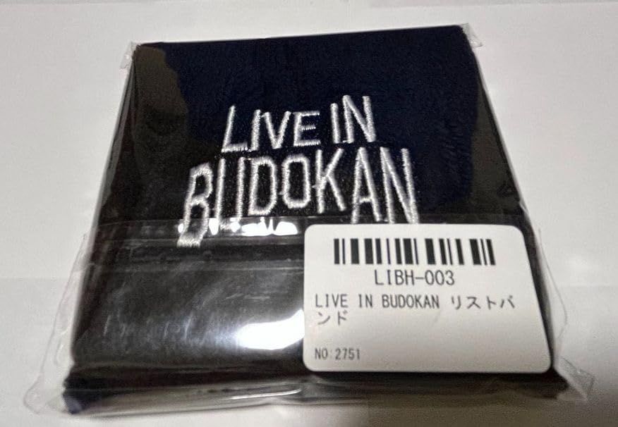 布袋寅泰 2024 LIVE IN BUDOKAN ～The 安い HOTEI～ グッズ リストバンド