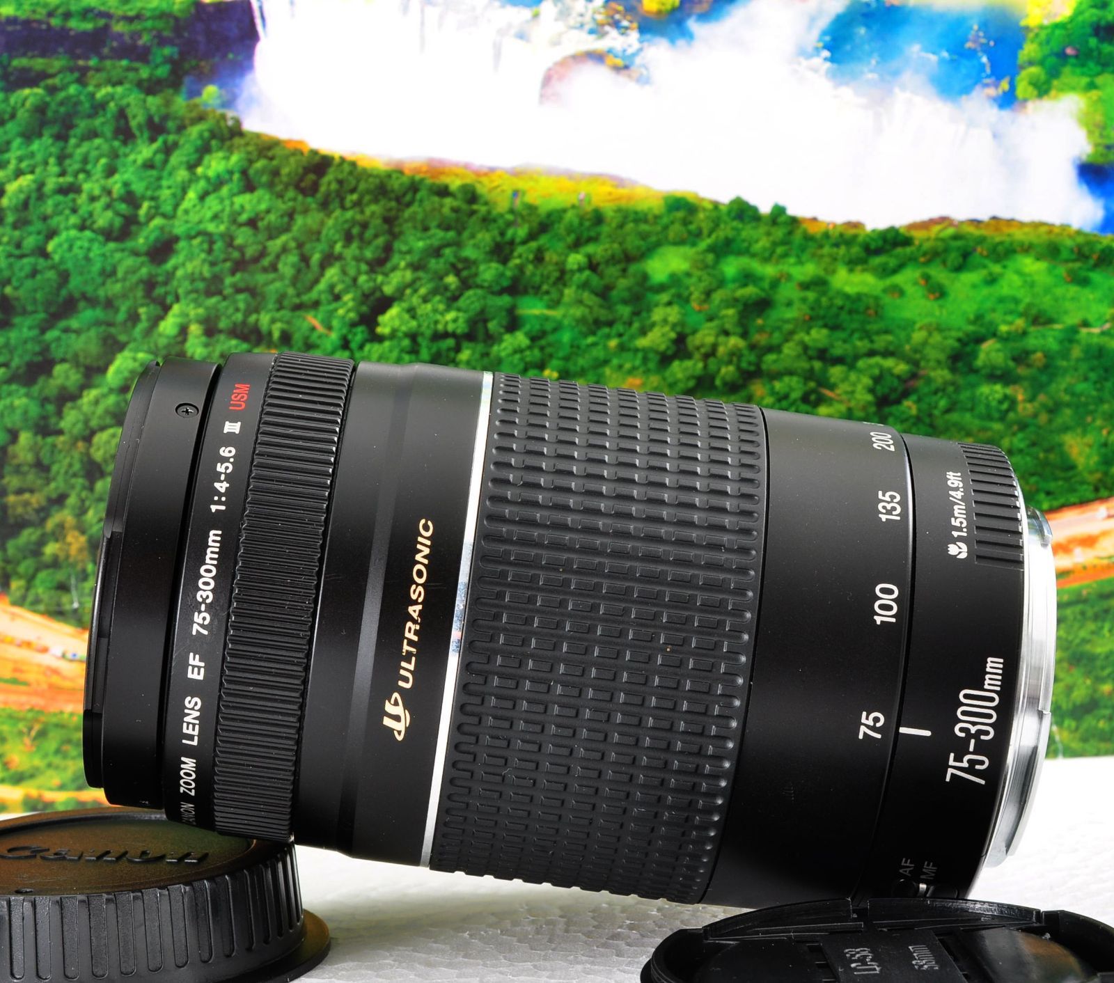 【美品】キャノンEF75-300mm超望遠ズーム❤️スポーツやイベントで大活躍 キヤノン EF 75-300mmUSM 軽量望遠ズームレンズ 運動会 旅行 ポート