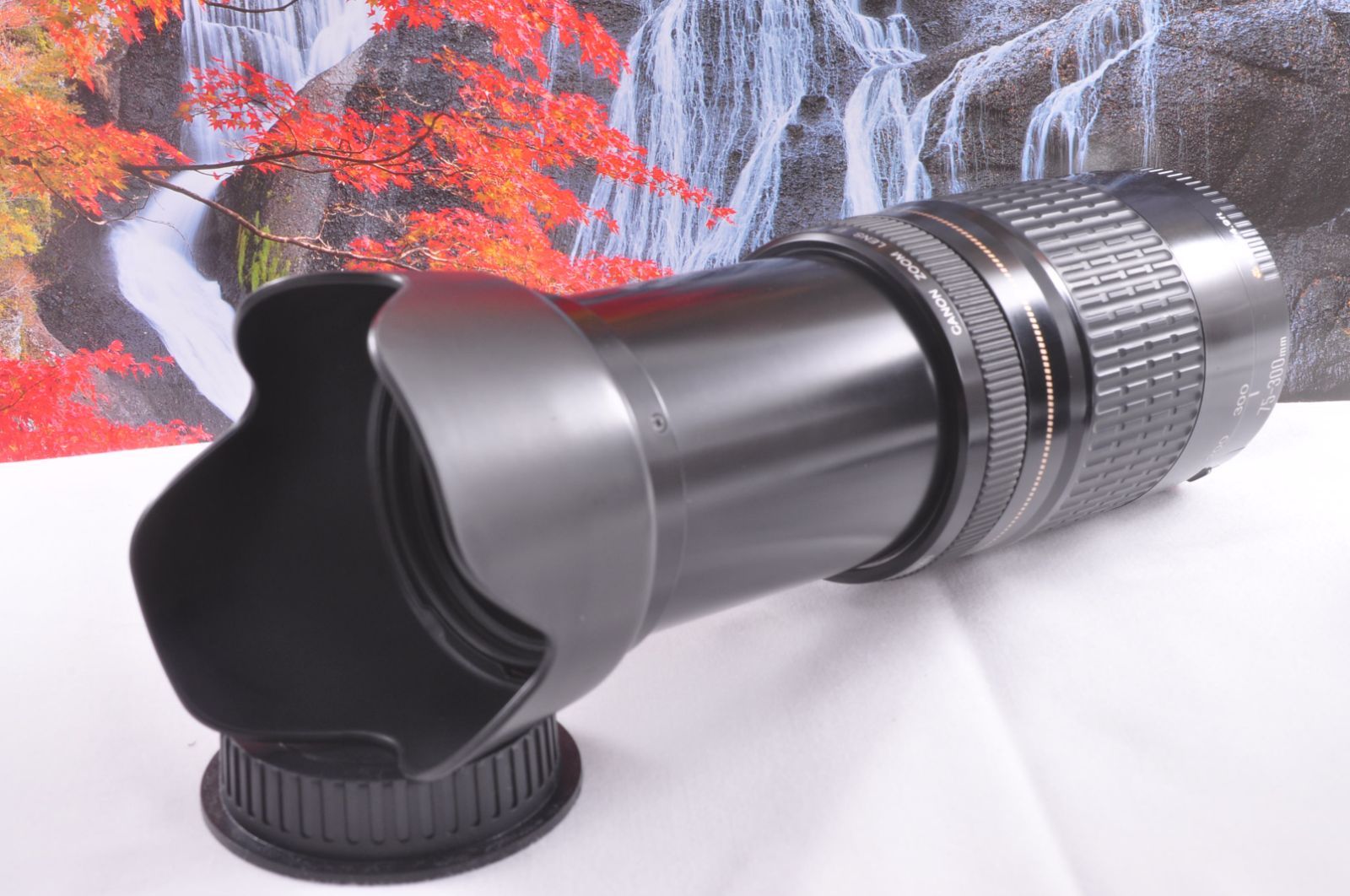 スポーツ・旅行に最適⭐望遠レンズセット⭐Canon Kiss X7⭐一眼レフ入門 【