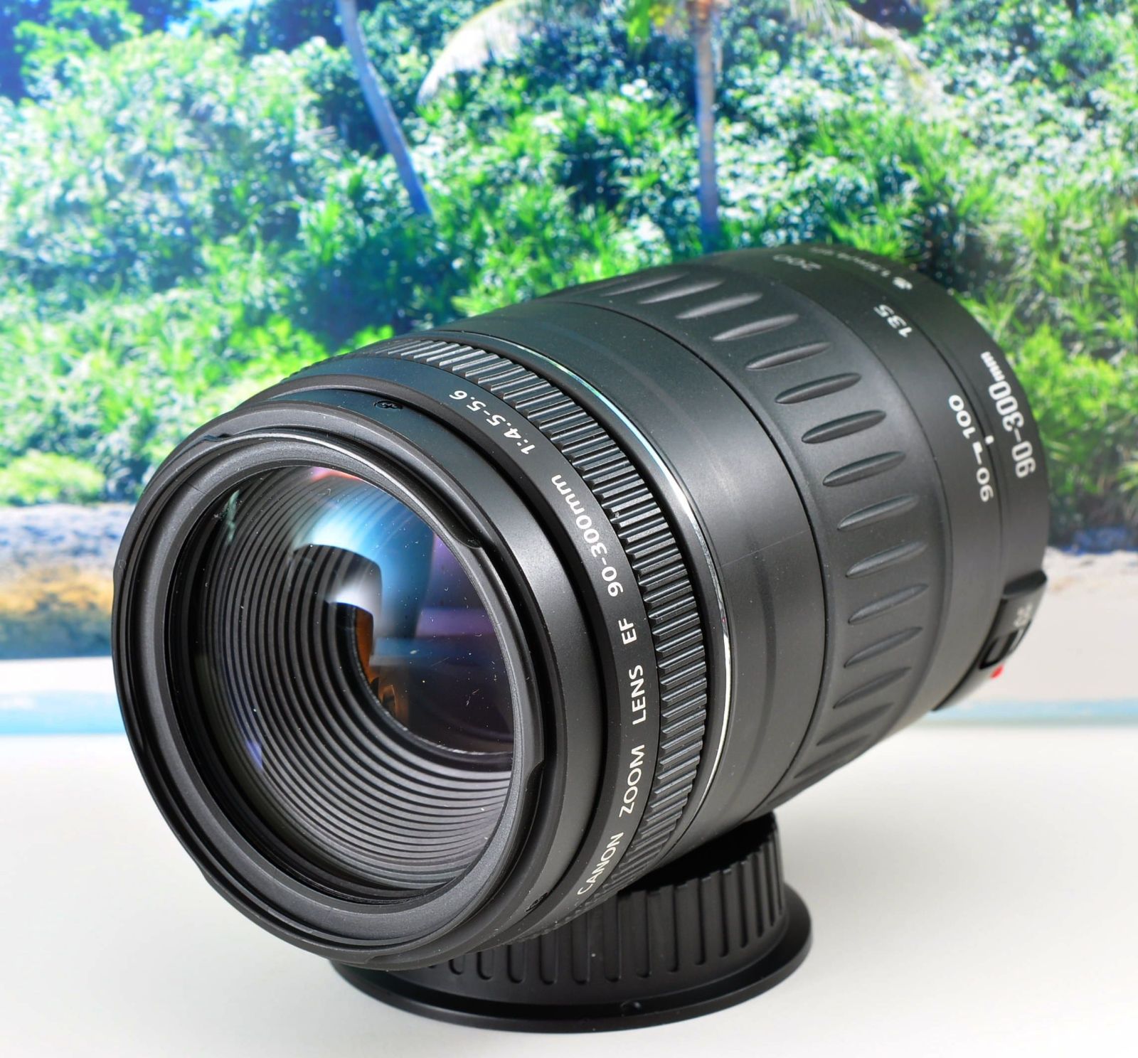 Canon 純正 EF90-300mm F4.5-5.6 フード キャップ付属 一眼レフ用望遠