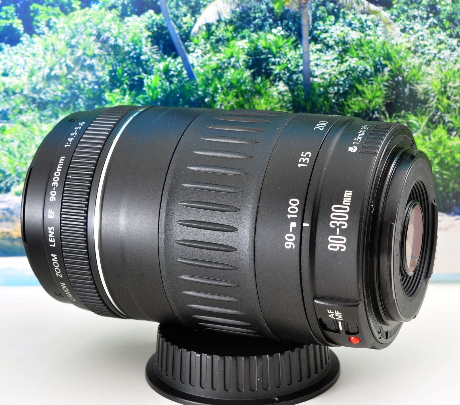 Canon 純正 EF90-300mm F4.5-5.6 フード キャップ付属 一眼レフ用望遠