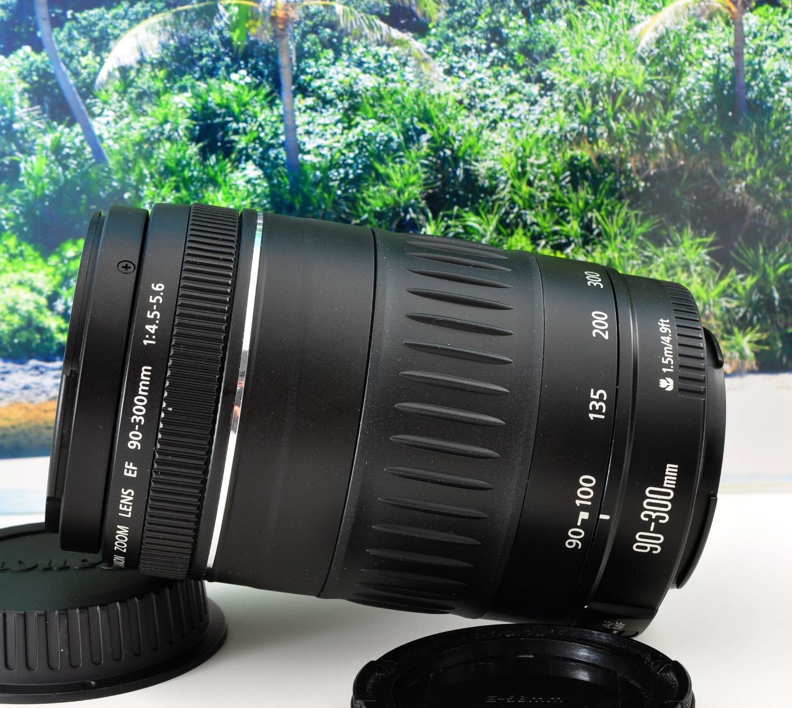 Canon 純正 EF90-300mm F4.5-5.6 フード キャップ付属 一眼レフ用望遠