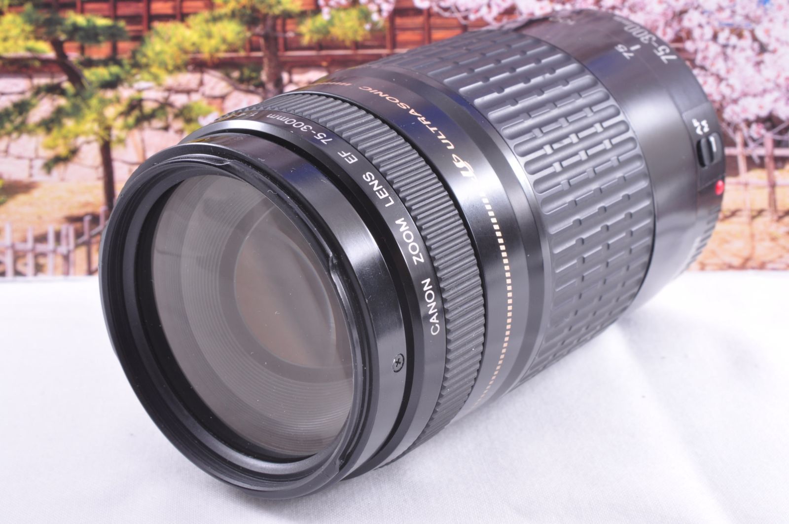 秋のイベントに大活躍 Canon 望遠レンズ EF75-300mm キヤノン 12月24日限定販売♪【超望遠レンズ】Canon EF 75-300mm