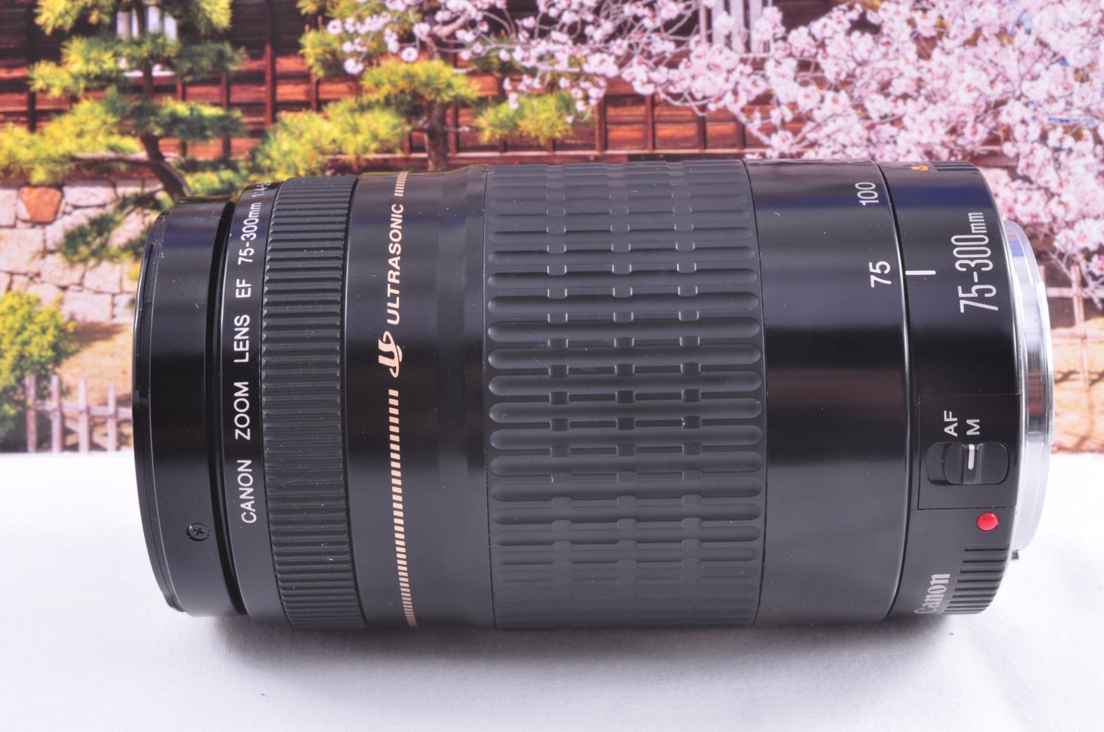 【美品】キャノンEF75-300mm超望遠ズーム❤️スポーツやイベントで大活躍 キヤノン EF 75-300mmUSM 軽量望遠ズームレンズ 運動会 旅行 ポート