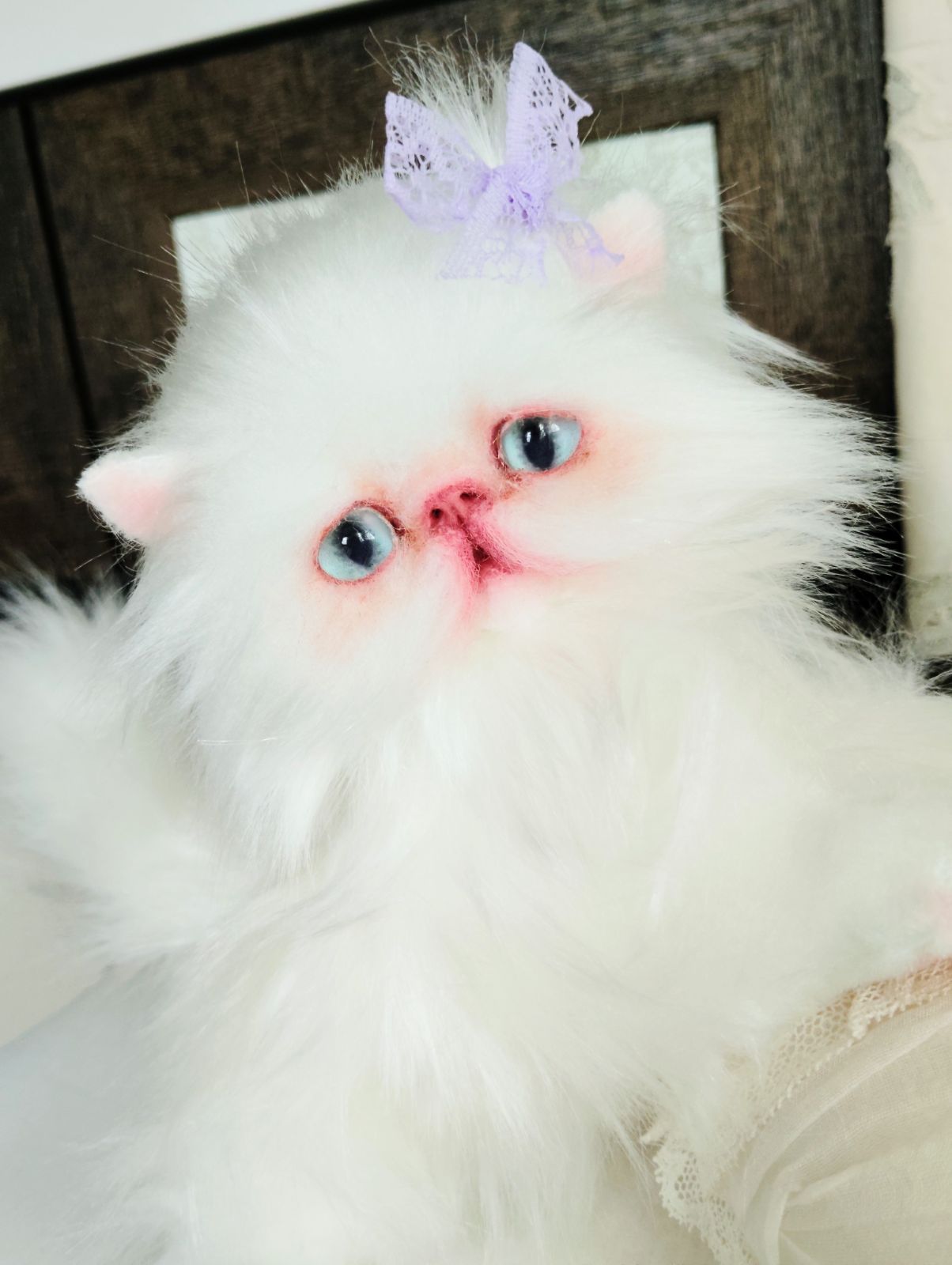 生後１か月♡エキゾチックロングヘア♡子猫ちゃん♡アートドール♡ぬいぐるみ♡ エキゾチックロングヘア♡一歳の子猫ちゃん♡美人さん♡アートドール