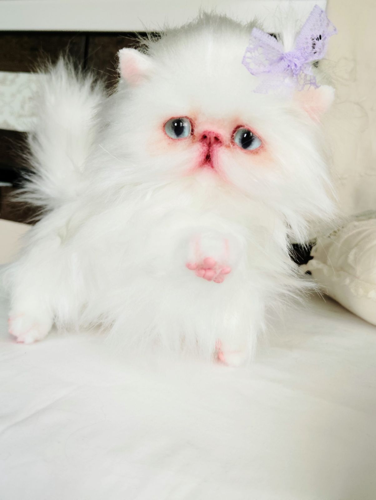 可愛い女の子♥️エキゾチックロングヘア子猫ちゃん❤️アートドール