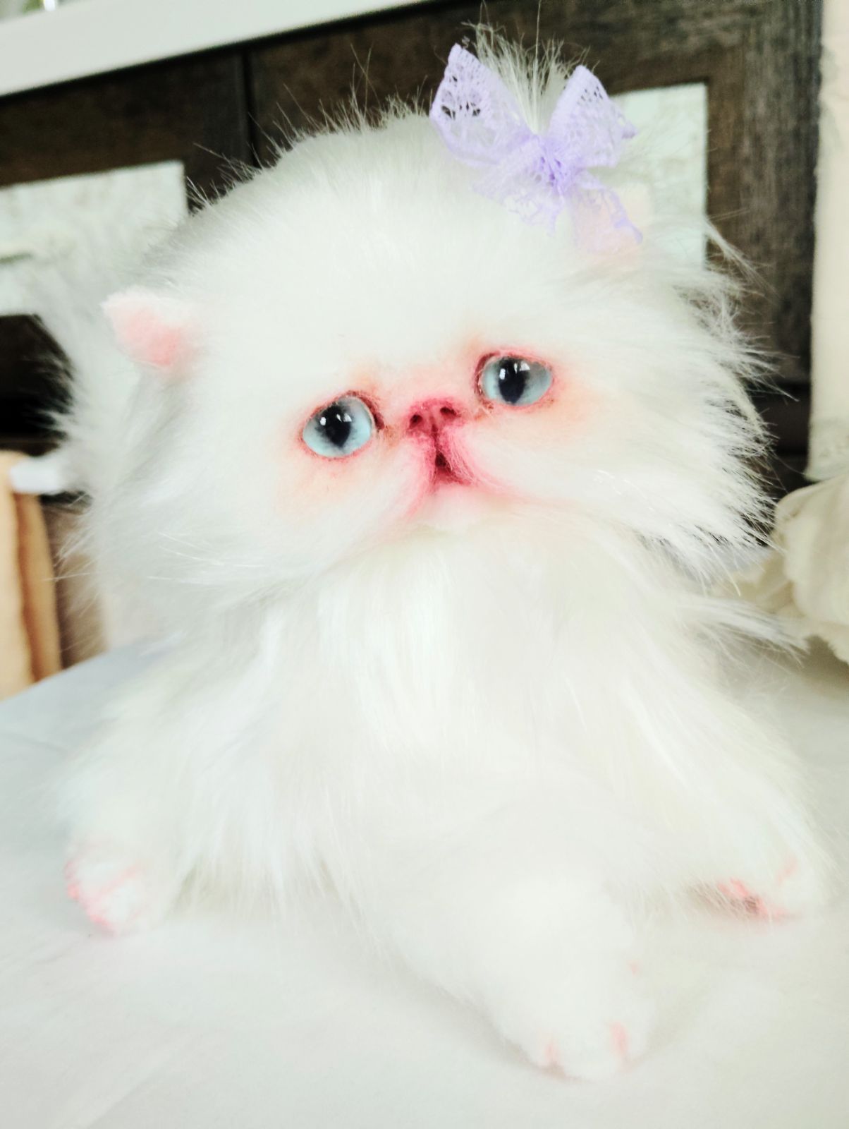 可愛い女の子♥️エキゾチックロングヘア子猫ちゃん❤️アートドール