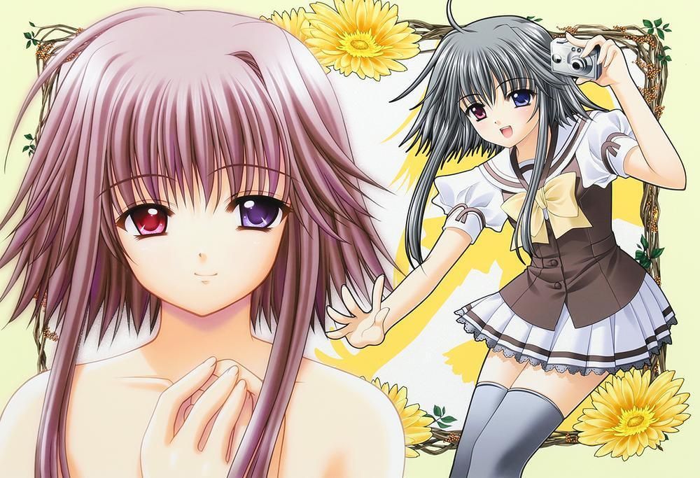 真作】【WISH】西又葵「Mayumi」ミクスドメディア 約12号 大作 直筆