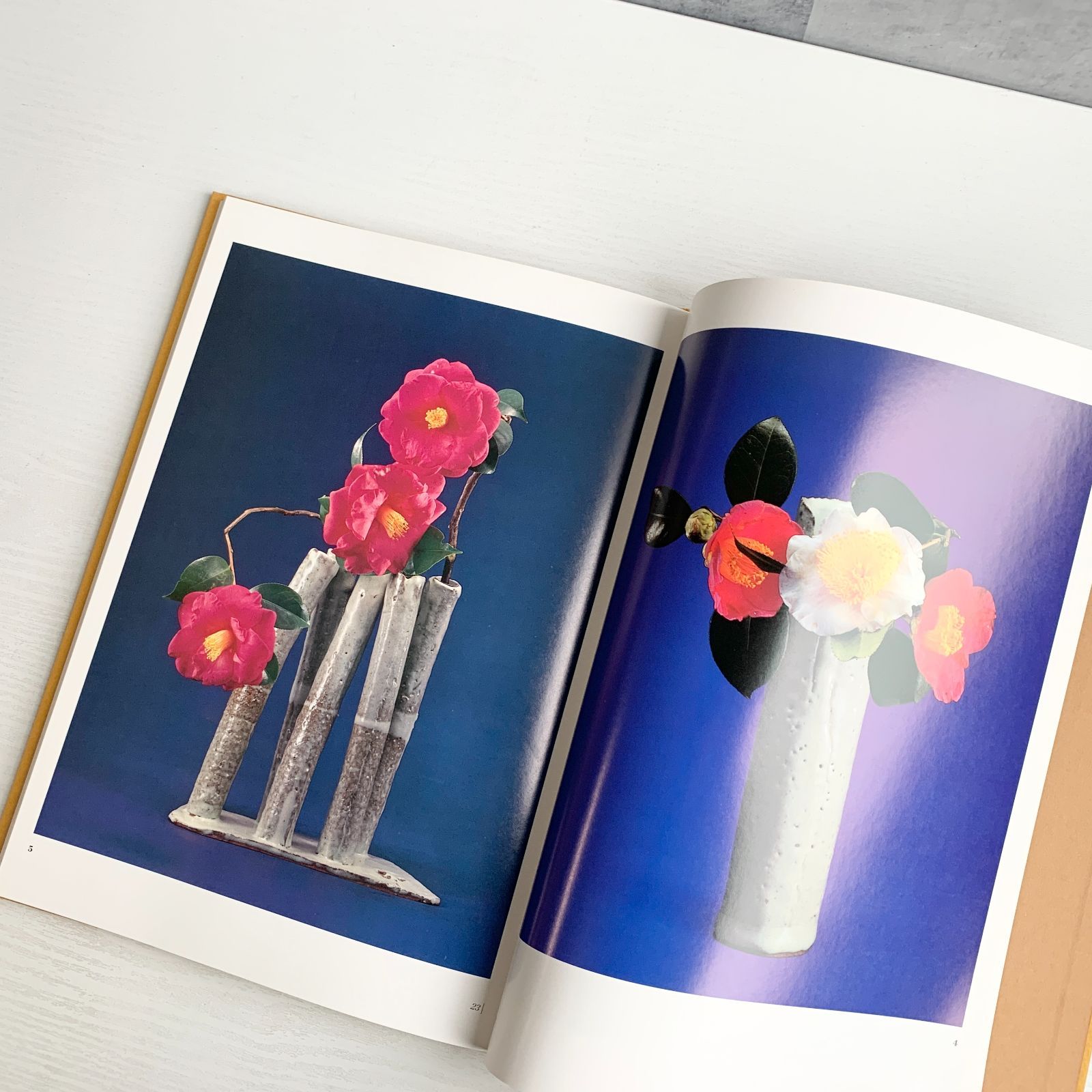 勅使河原蒼風のいけばな 全5冊 初版 草月出版 生け花 趣味 写真 - メルカリ