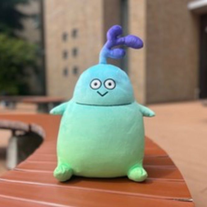 もっちもち研一BIGぬいぐるみ お待たせしました‼️ #研一BIGぬい 発売決定✨ ＼＼ もちもちを超えた