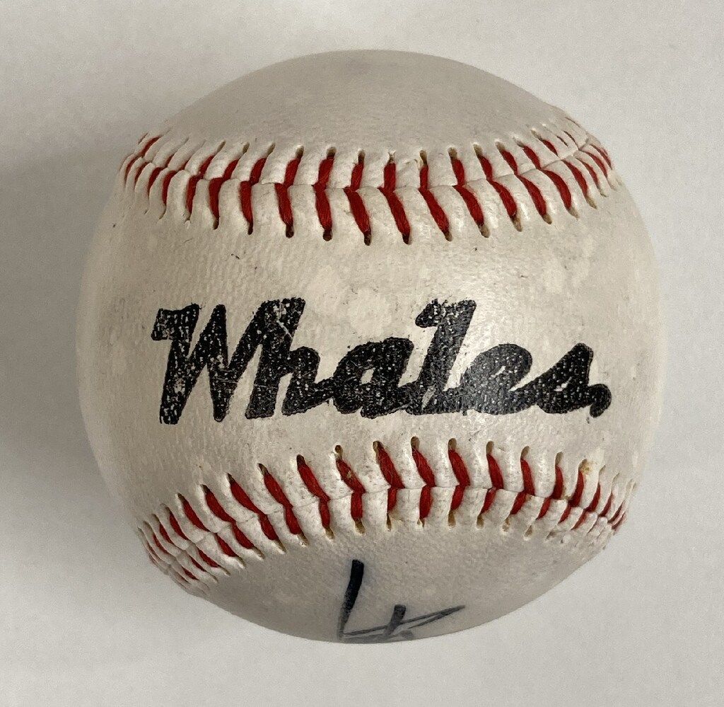 希少！★昭和25年 大洋ホエールズ創設年の選手サインボール◆ 横浜DNA 横浜大洋ホエールズ 中山裕章 直筆サインボール - メルカリ