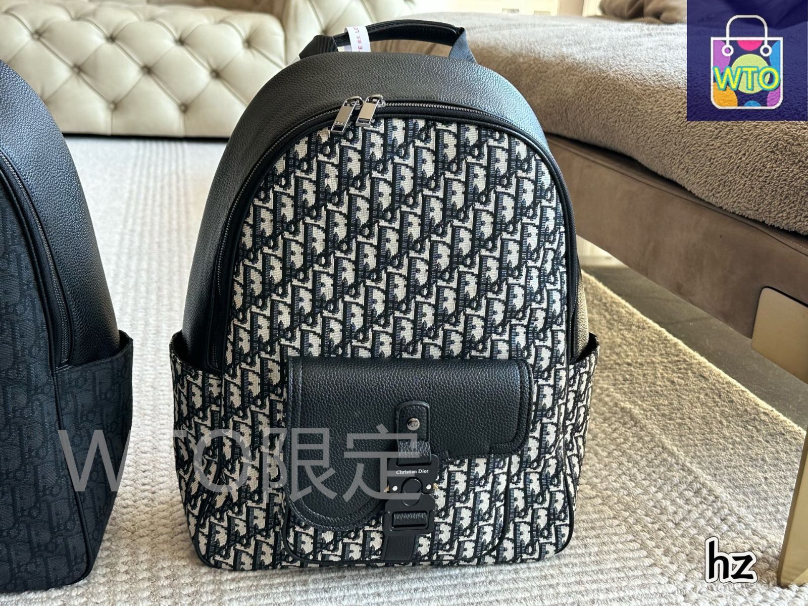 今日特価】Dior Oblique Rider Backpack ～ディオール オブリーク