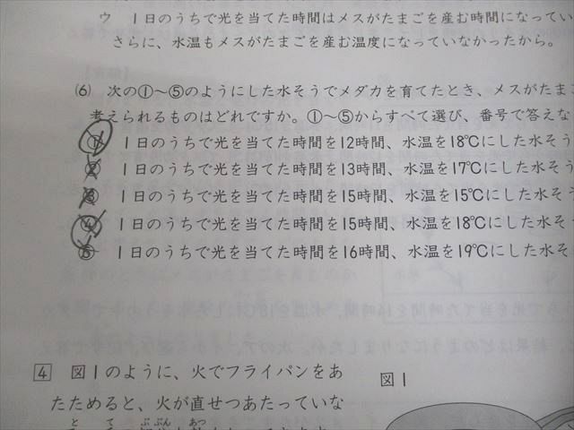 日能研 小4 全国公開模試 実力判定⁄学習力育成⁄春期講習特別 4年 0