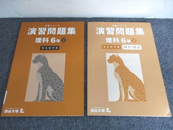 専用！四谷大塚　6年生 教科書・問題集セット 四谷大塚 6年 予習シリーズ有名校対策 国算理社 2024年版 中古