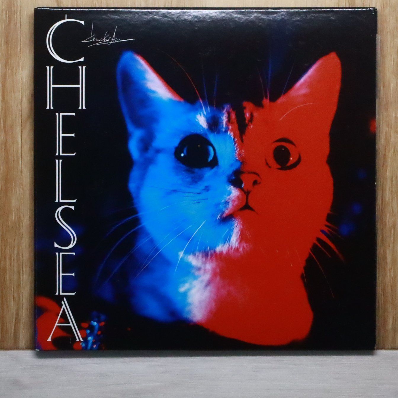 激レア❗未開封⭐NovelCore⭐直筆サイン付きCD＆DVD＆Blu-ray 国内盤CD☆貴水博之/Hiroyuki Takami□ SUN 【FHCF2262/4988027014490