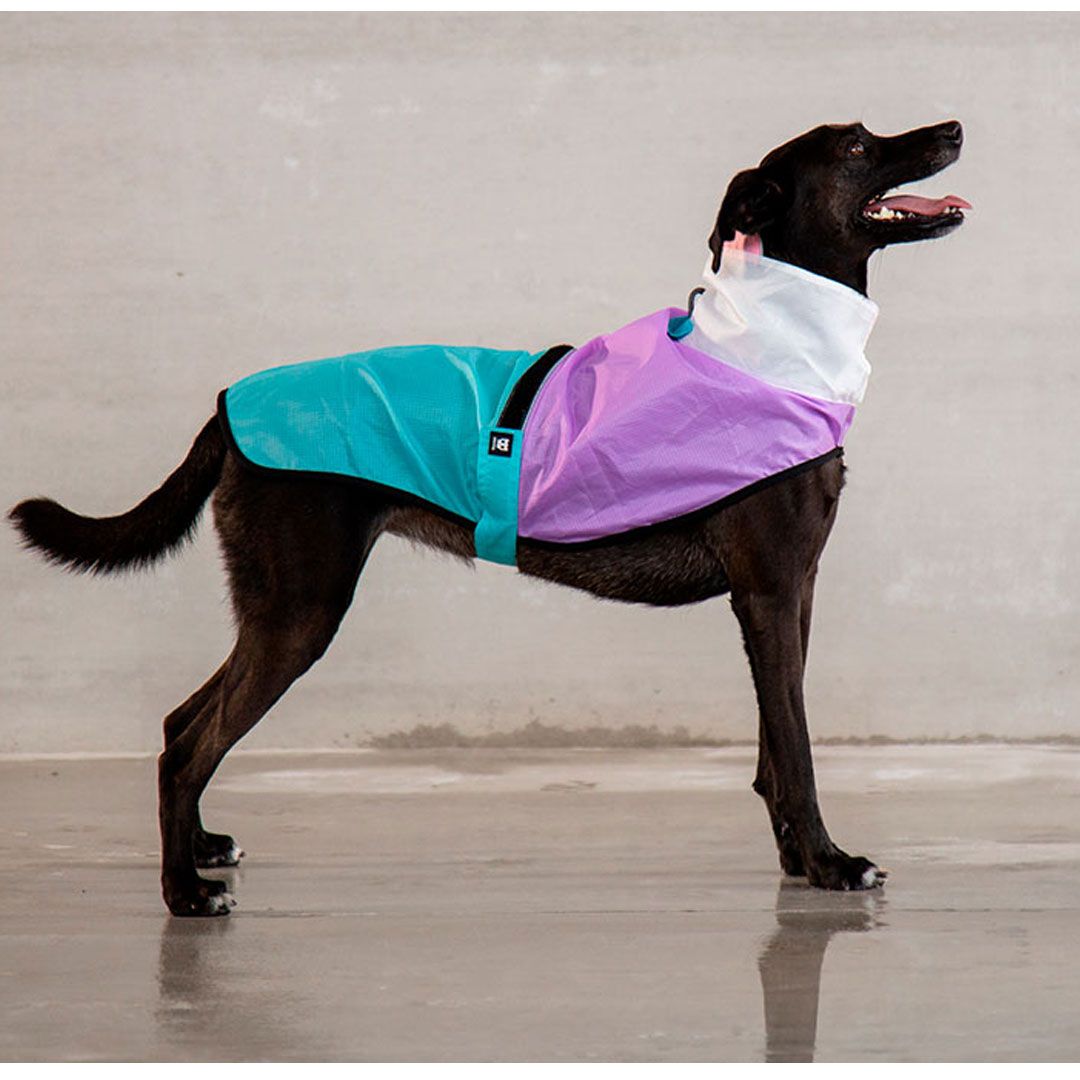 犬用レインコート ジードッグzee.dog RAINCOAT/レインコート サイズXL