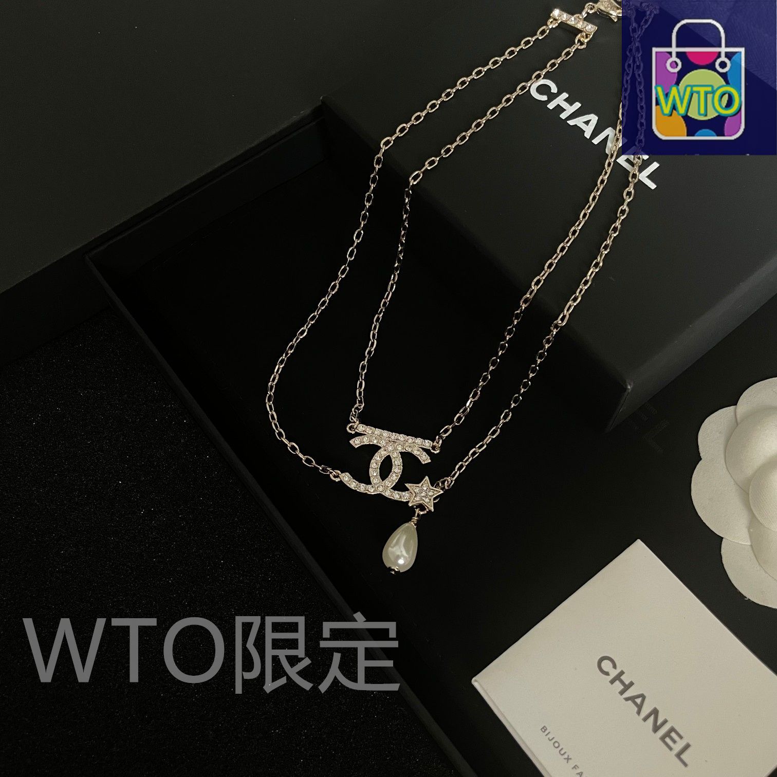 CHANEL ヴィンテージ2連ネックレス CHANEL シャネル 2連ネックレス ココマーク コイン 06P シルバー