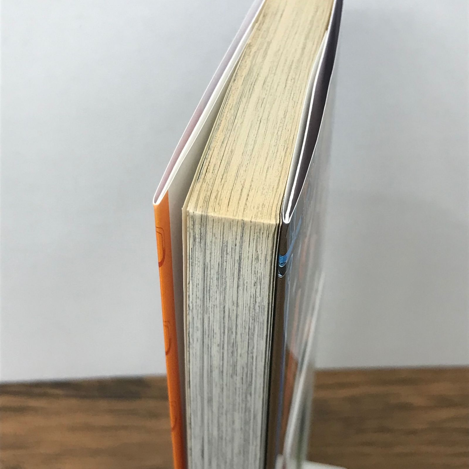 帯付き】ジョジョの奇妙な冒険 第6部 ストーンオーシャン 1巻/【作者