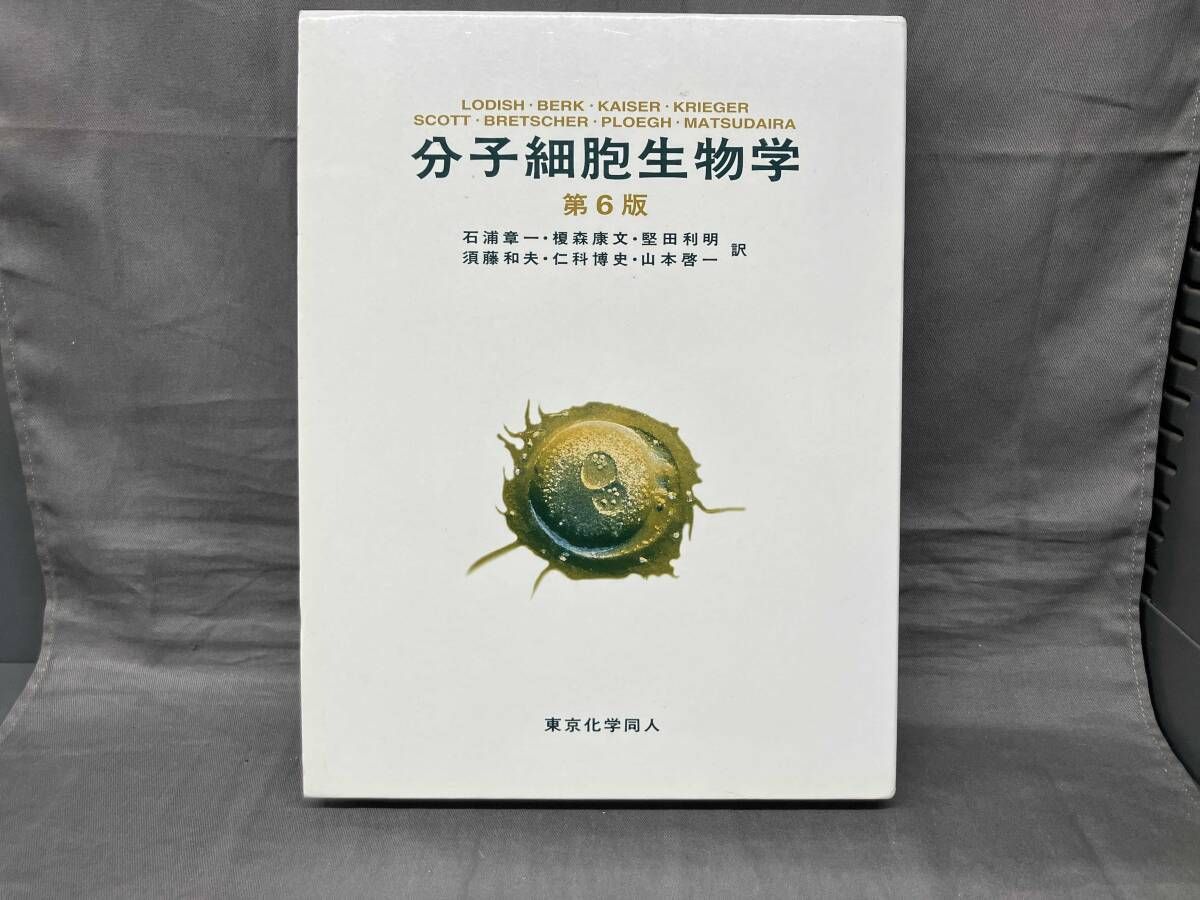分子細胞生物学 第6版 H.ロディッシュ - メルカリ