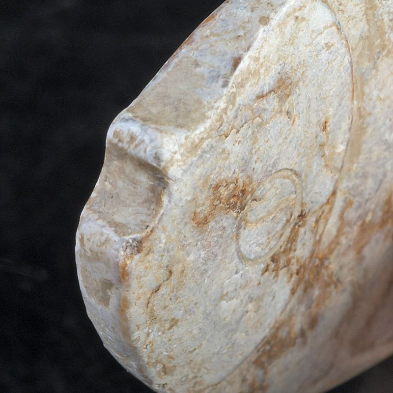 中国 玉石寿山石彫刻 魚 玉器 玉牌 根付 C S328 - メルカリ