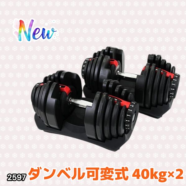 2597 ダンベル 可変式 レッド 40kg 2個 総重量80kg 多機能 5~40kg 17