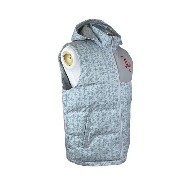 CASTELBAJAC ダウンベスト　美品　シルバー　42サイズ 2025年最新】Yahoo!オークション -カステルバジャックダウンベストの