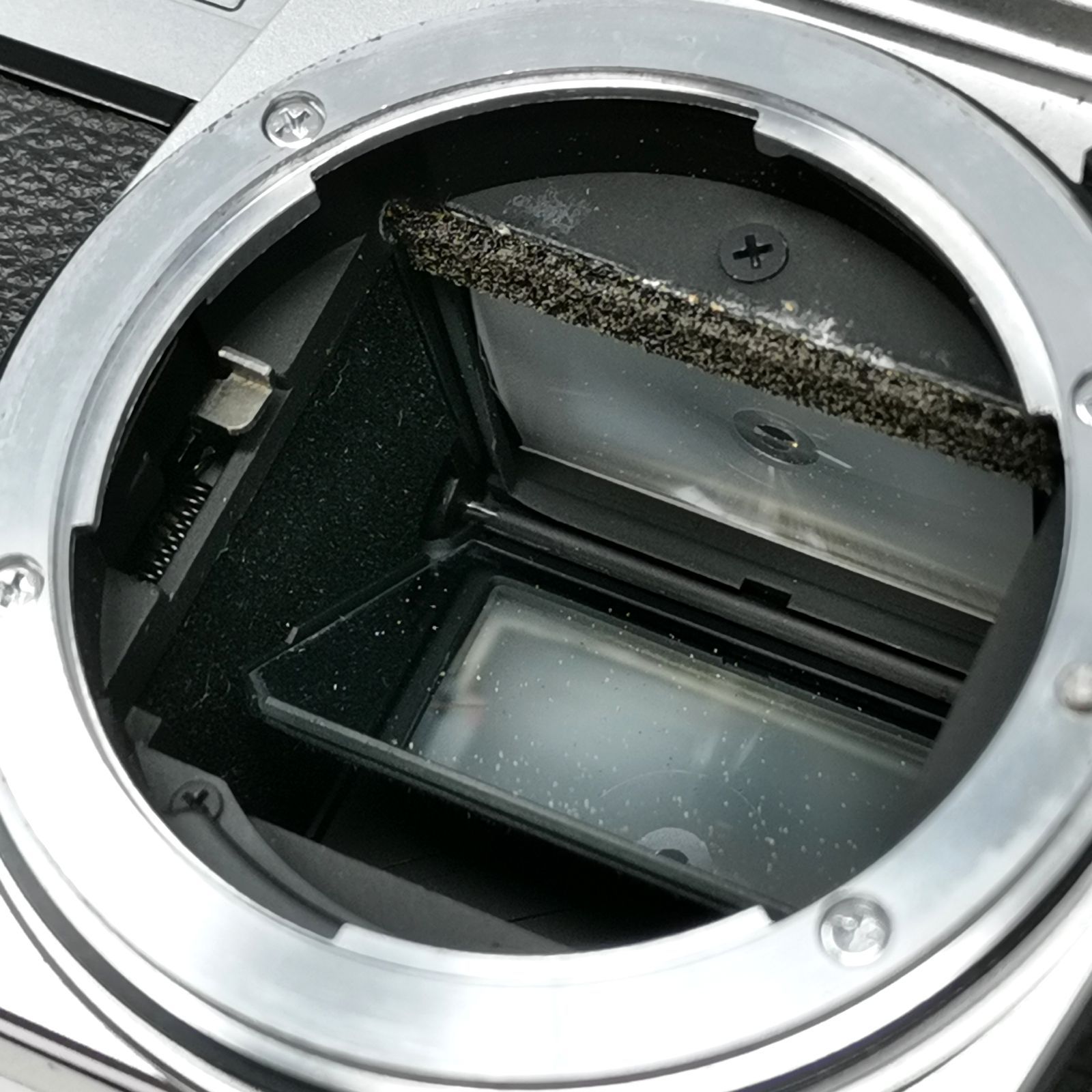 フィルム一眼レフカメラ