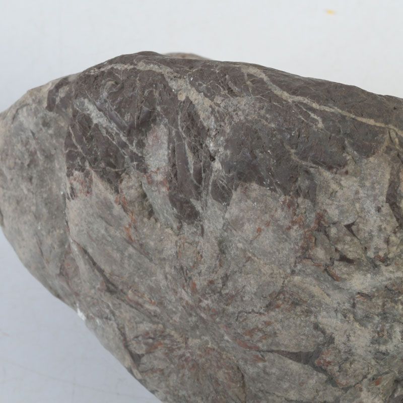 鑑賞石 天然石 菊花石 置物 重さ約1.8kg N S335 - メルカリ