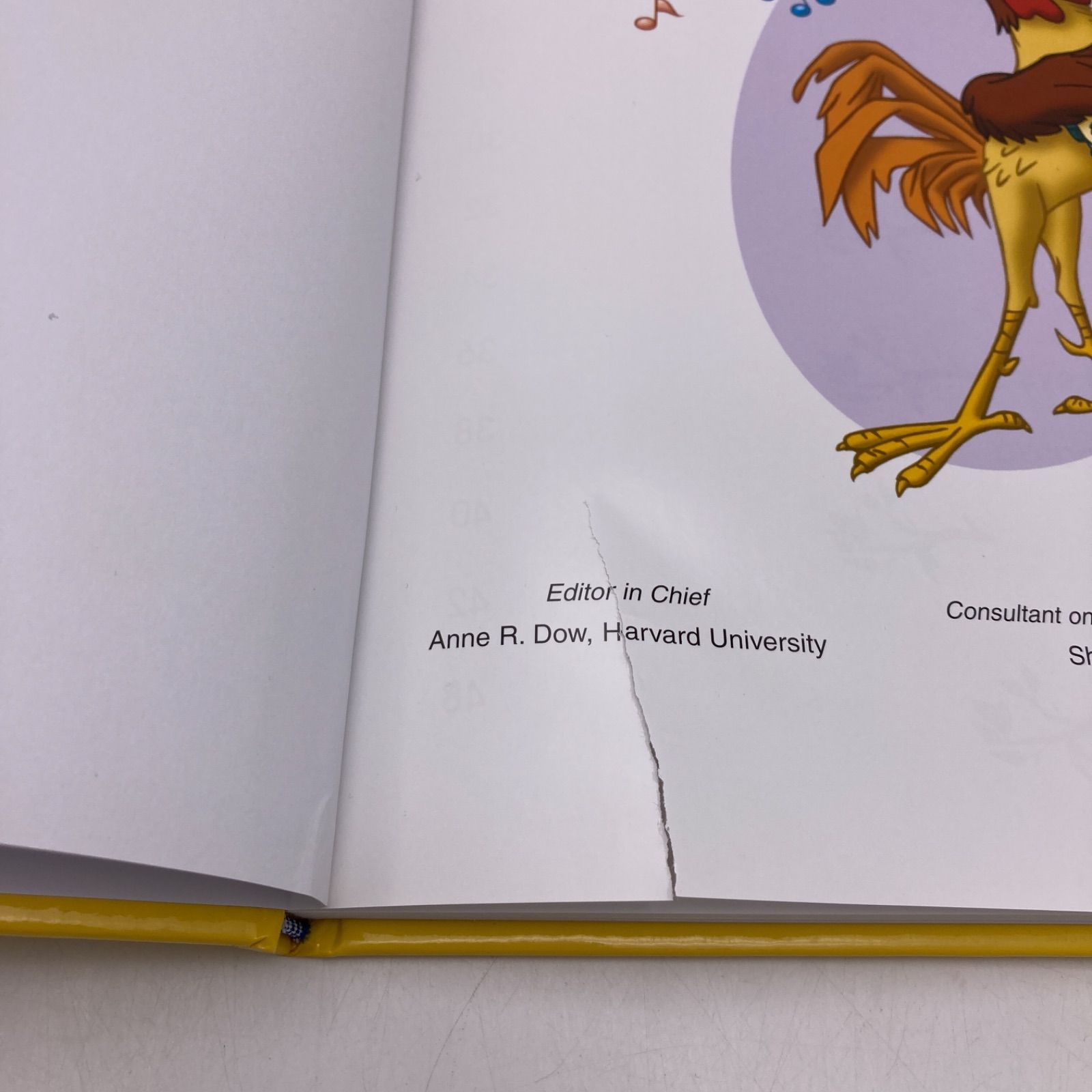 シングアロング+プレイアロング 新子役 ディズニー英語システム DWE