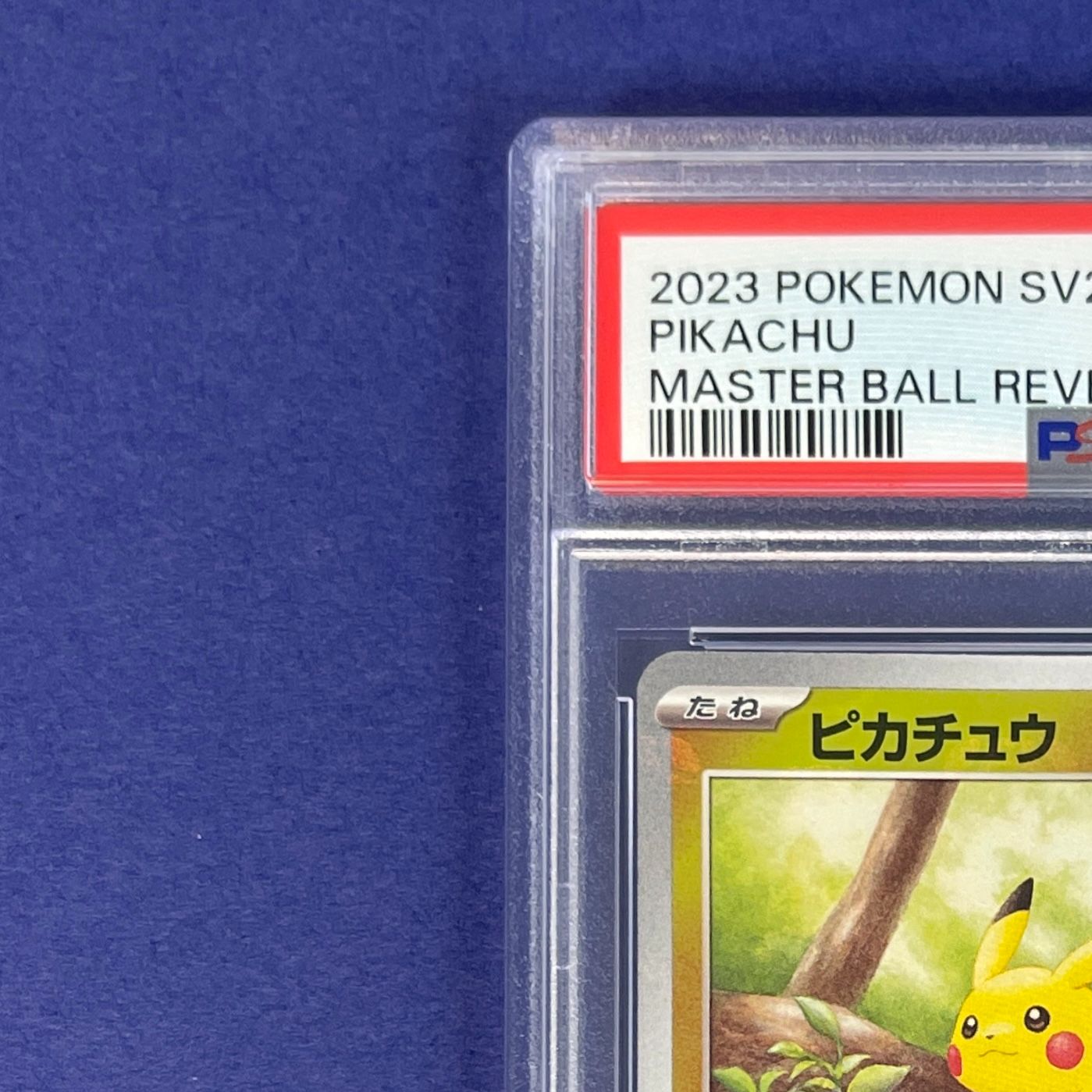 ピカチュウ マスターボールミラー ポケモンカード 151【PSA10】 PSA10】 ピカチュウ マスボミラー 025/165 ポケモンカード 151