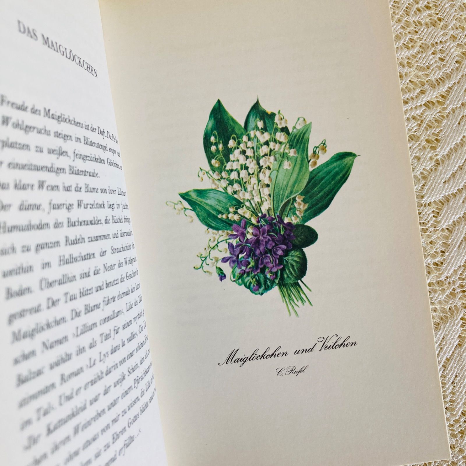 ドイツの繊細で美しい植物図鑑 インテリア洋書・古書 花図鑑 - メルカリ