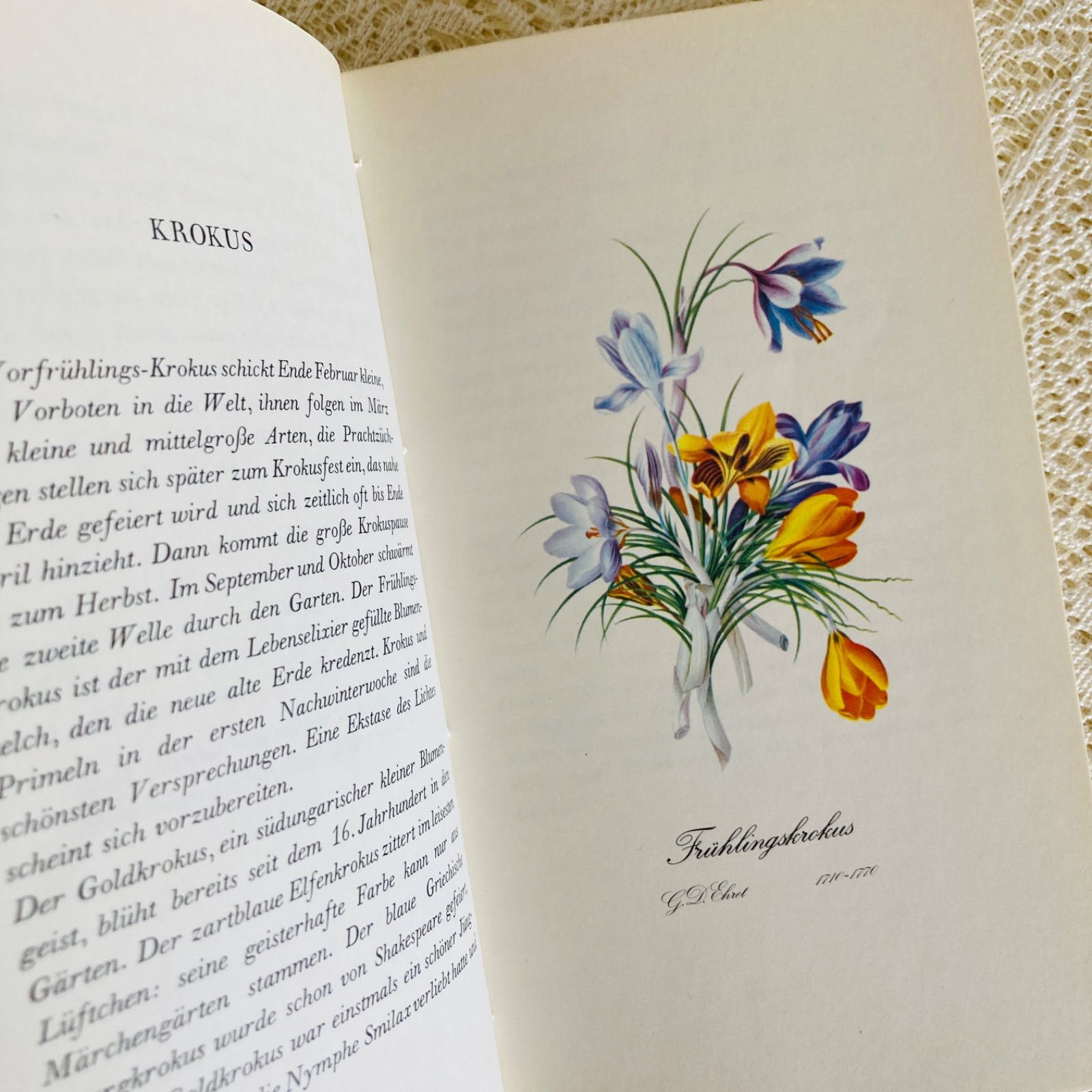 洋書古書　希少　ヴィンテージ植物図鑑　繊細で美しい植物画304点　画集　ドイツ語 洋書 古書 希少 ヴィンテージ植物図鑑 繊細で美しい植物画 洋書古書