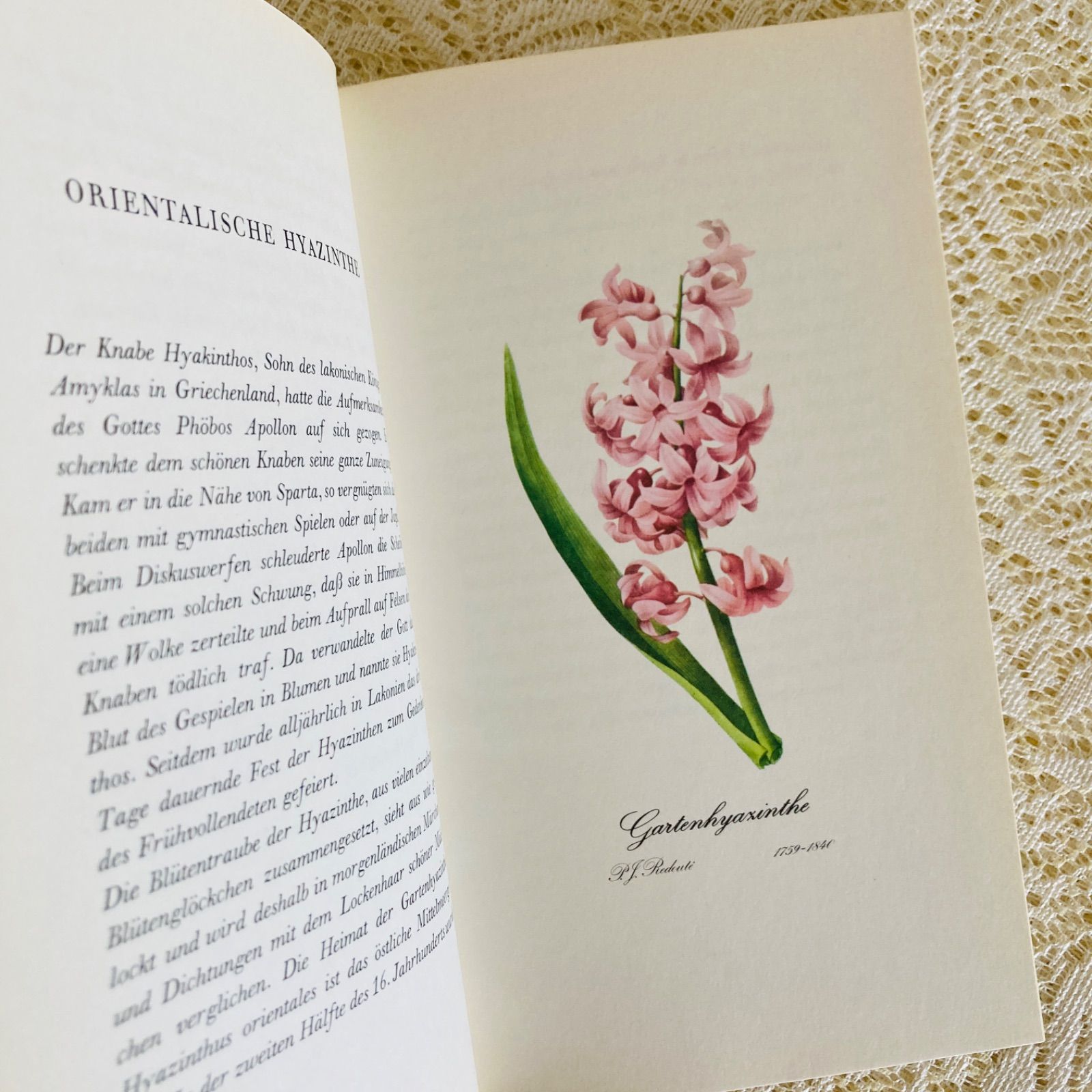 ドイツの繊細で美しい植物図鑑 インテリア洋書・古書 花図鑑 - メルカリ